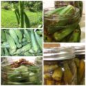 Orka Dill Pickles
