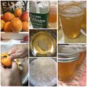 Apricot and Bourbon Cocktail Jelly
