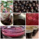 Blueberry jelly