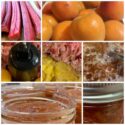 Apricot Rhubarb Jam