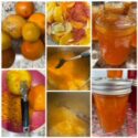 Grapefruit and Orange Marmalade