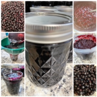 Blueberry Currant Jam